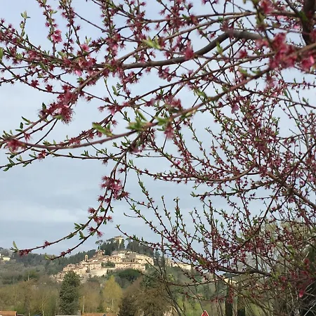 Bed & Breakfast Toscanini